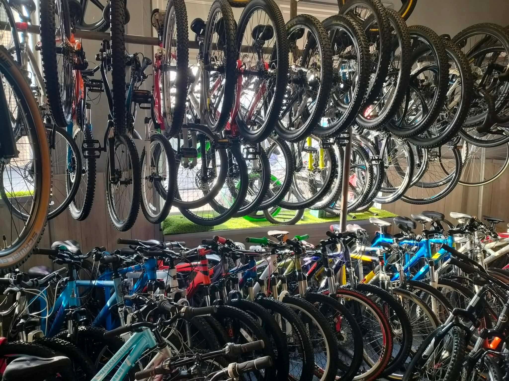Rows of bikes and wheels tightly packed inside Shay Cycles